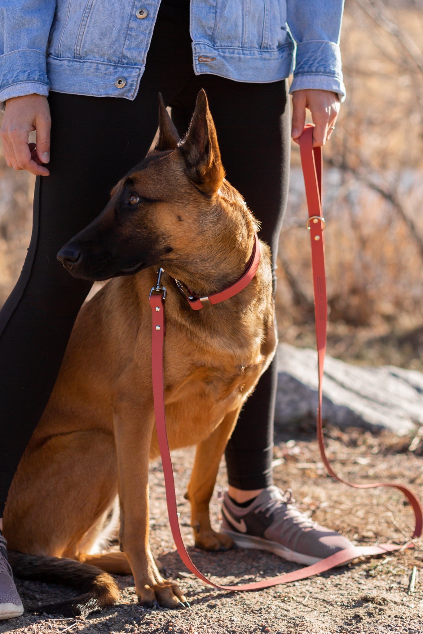 Modern Leather Leash