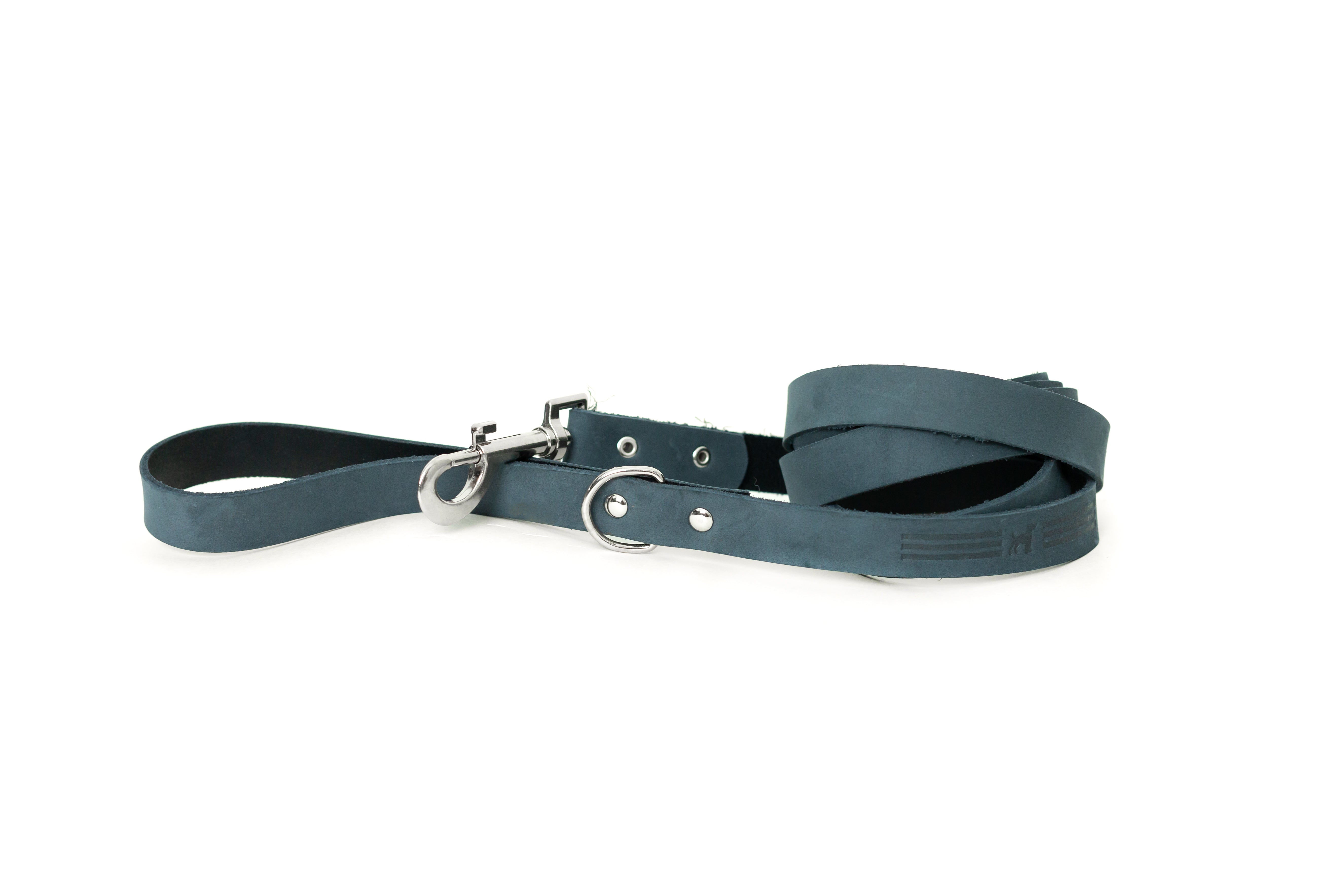 Modern Leather Leash