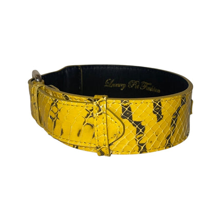 Mustard Yellow & Black Snake Classic Collar