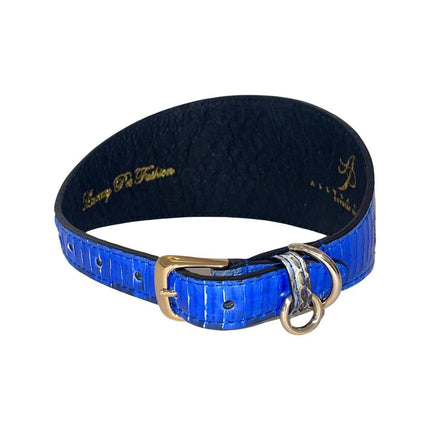 Stunning Multi-Blue Tone Snake 3” Wide Style Collar