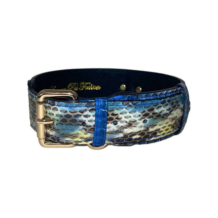 Stunning Multi-Blue Tone Snake Classic Collar