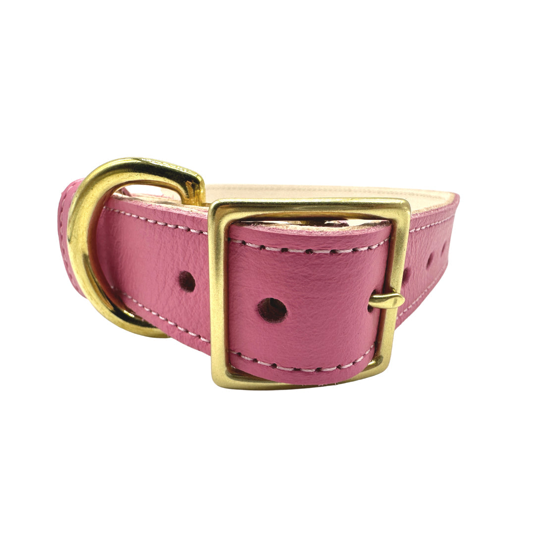 Plain Leather Dog Collar