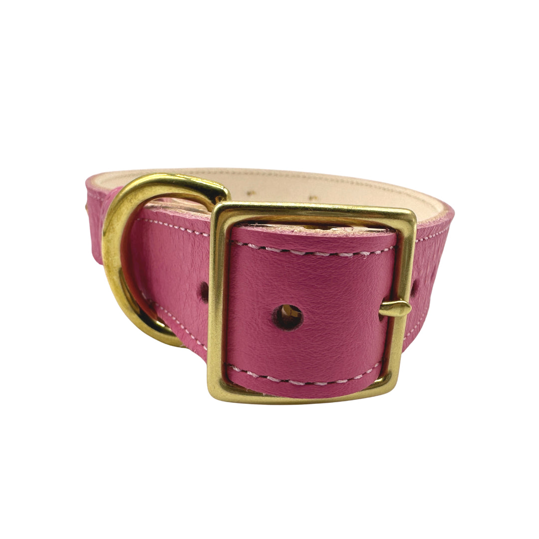 Plain Leather Dog Collar