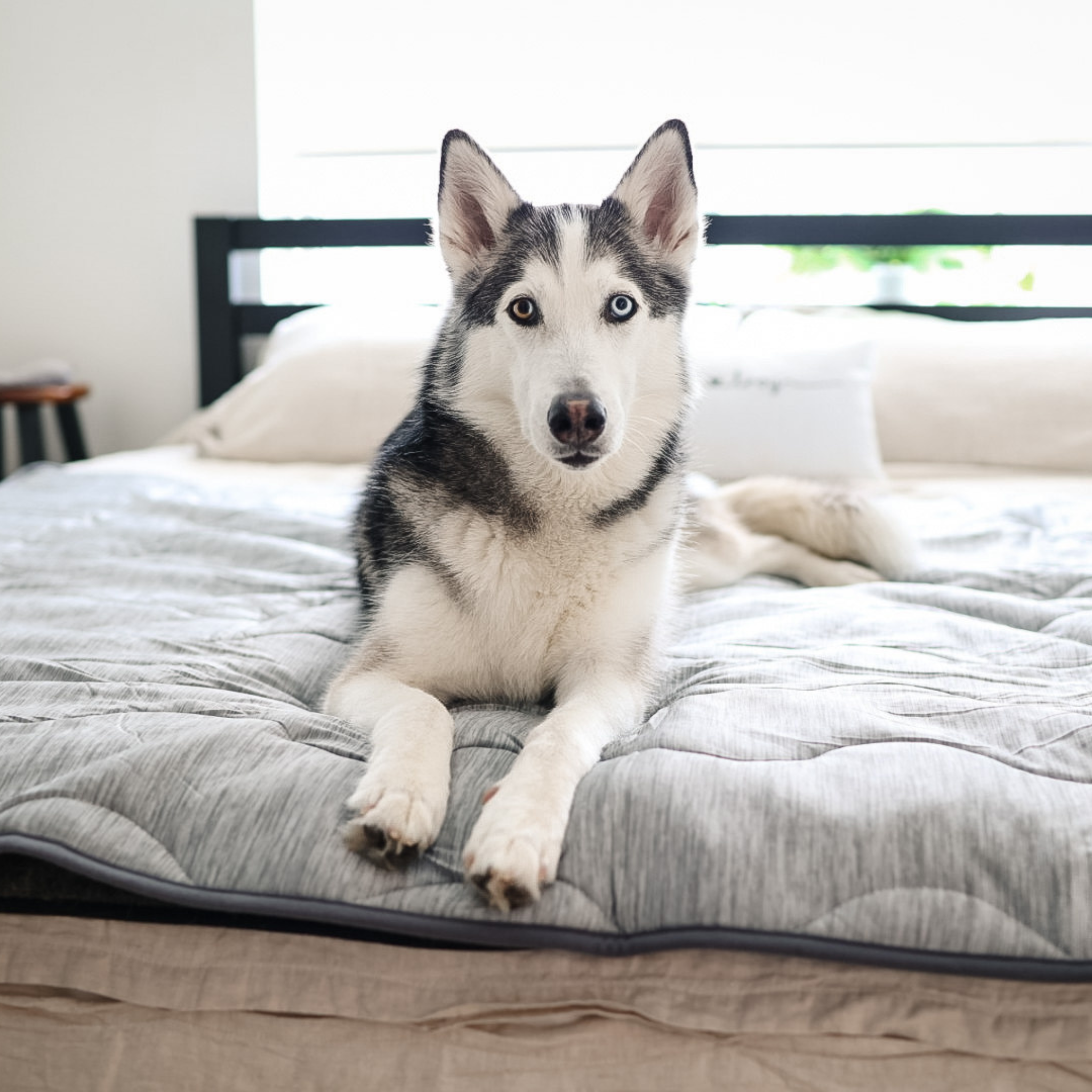 PupChill Cooling Waterproof Blanket - Arctic Grey