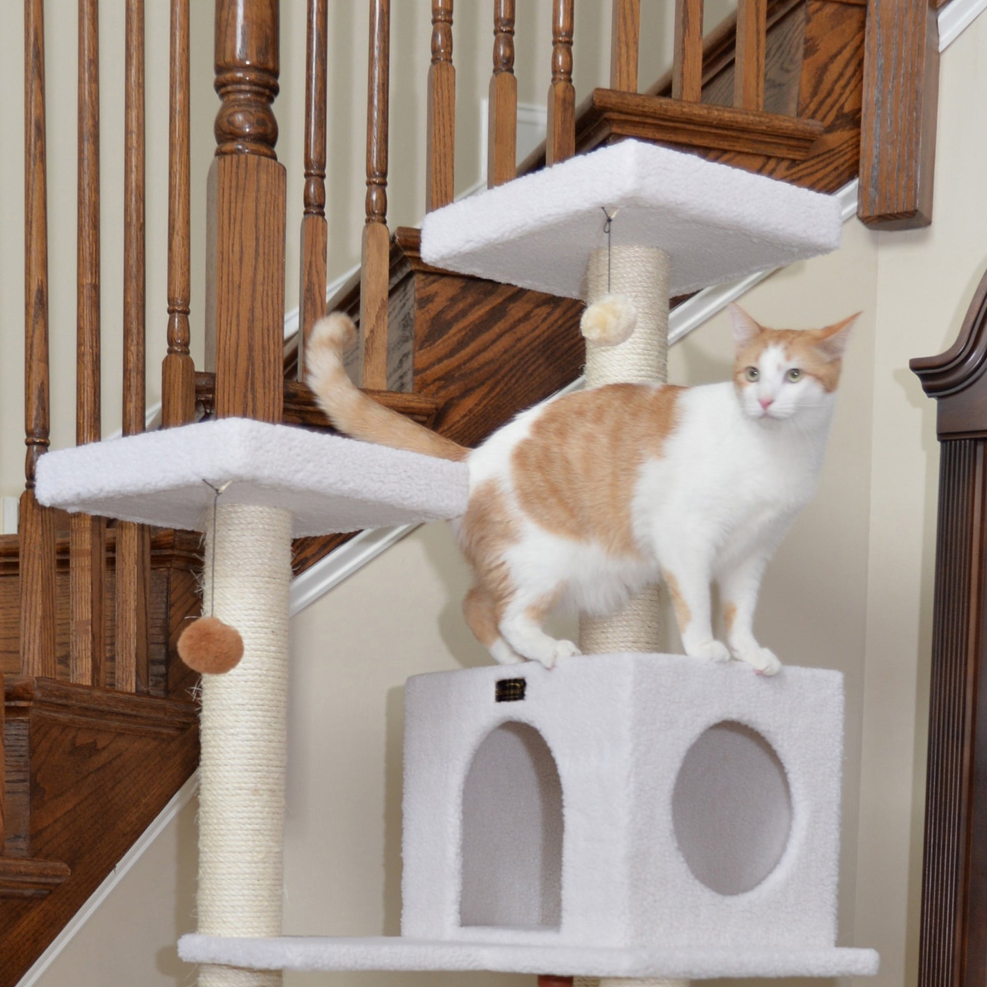 Armarkat B7301 Classic Cat Tree In Ivory, Jackson Galaxy Approved, Four Levels With Rope SwIng, Hammock, Condo, and Perch