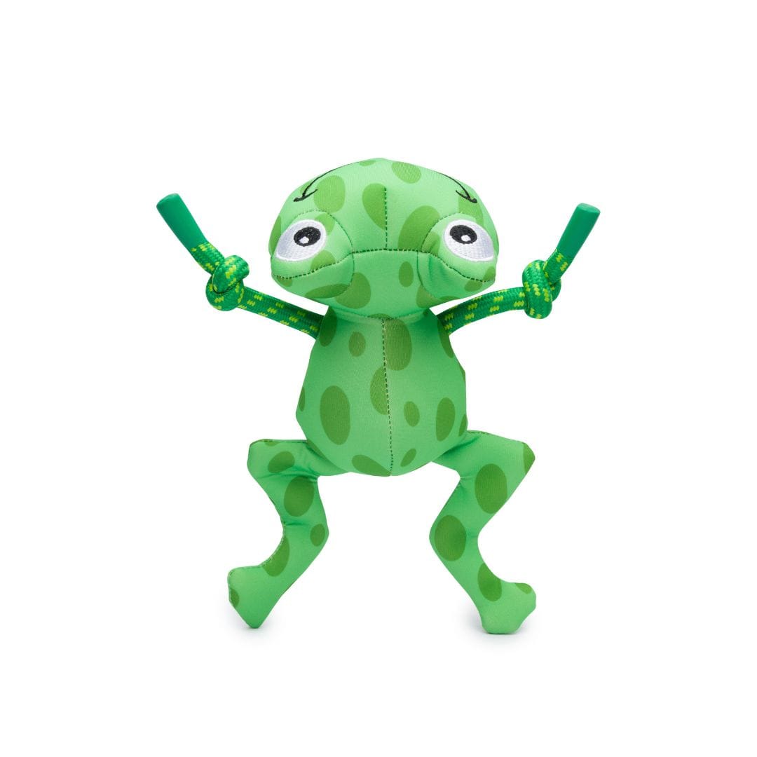 Floatie Frog