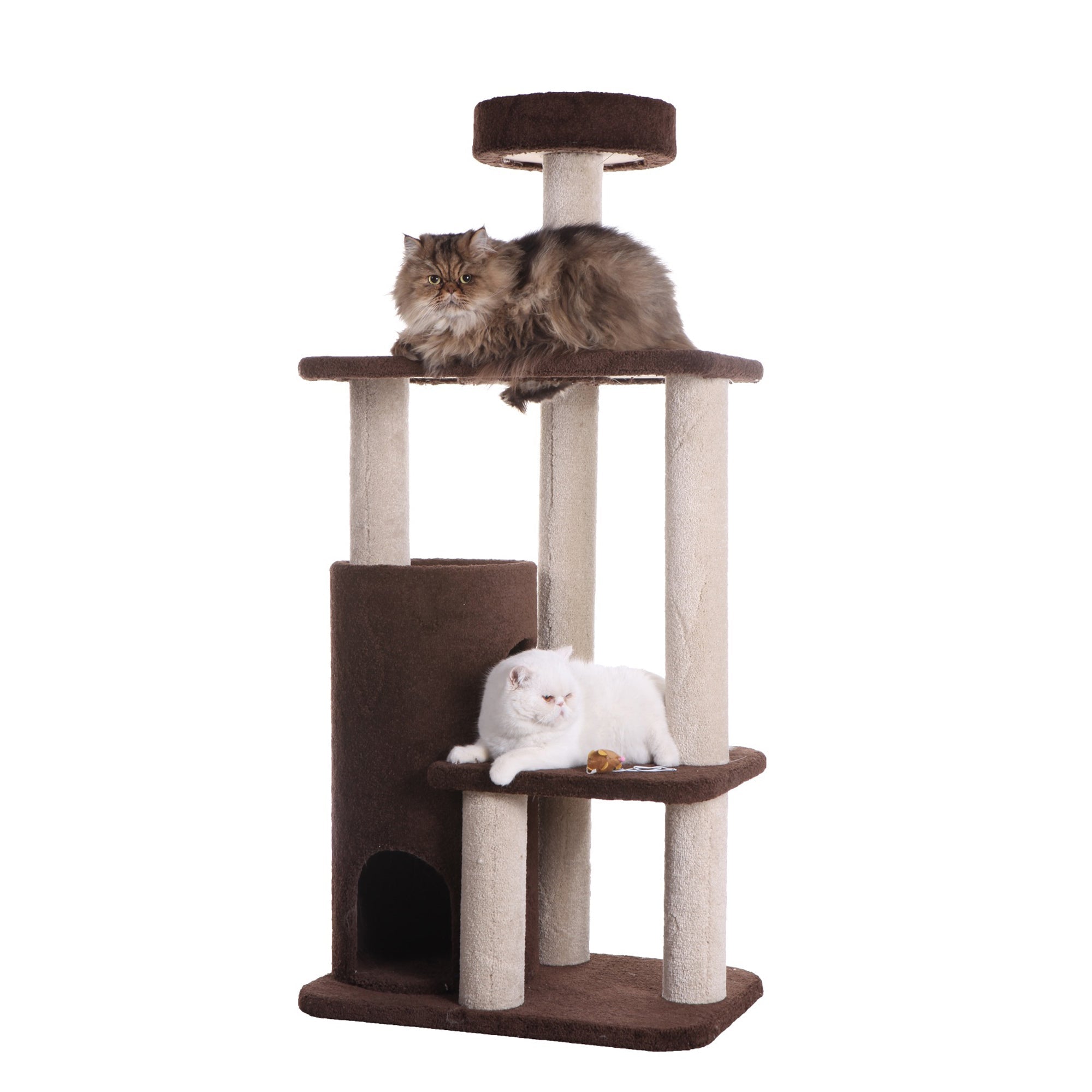 Armarkat 3-Level Carpeted Cat Tree Condo F5602, Kitten Playhouse Climber Activity Center, Brown