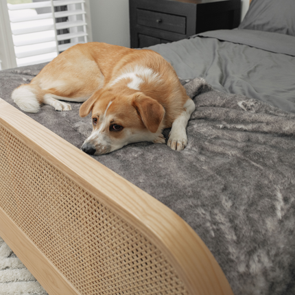 PupProtector™ Luxe Waterproof Bed Runner - Ultra Soft Chinchilla