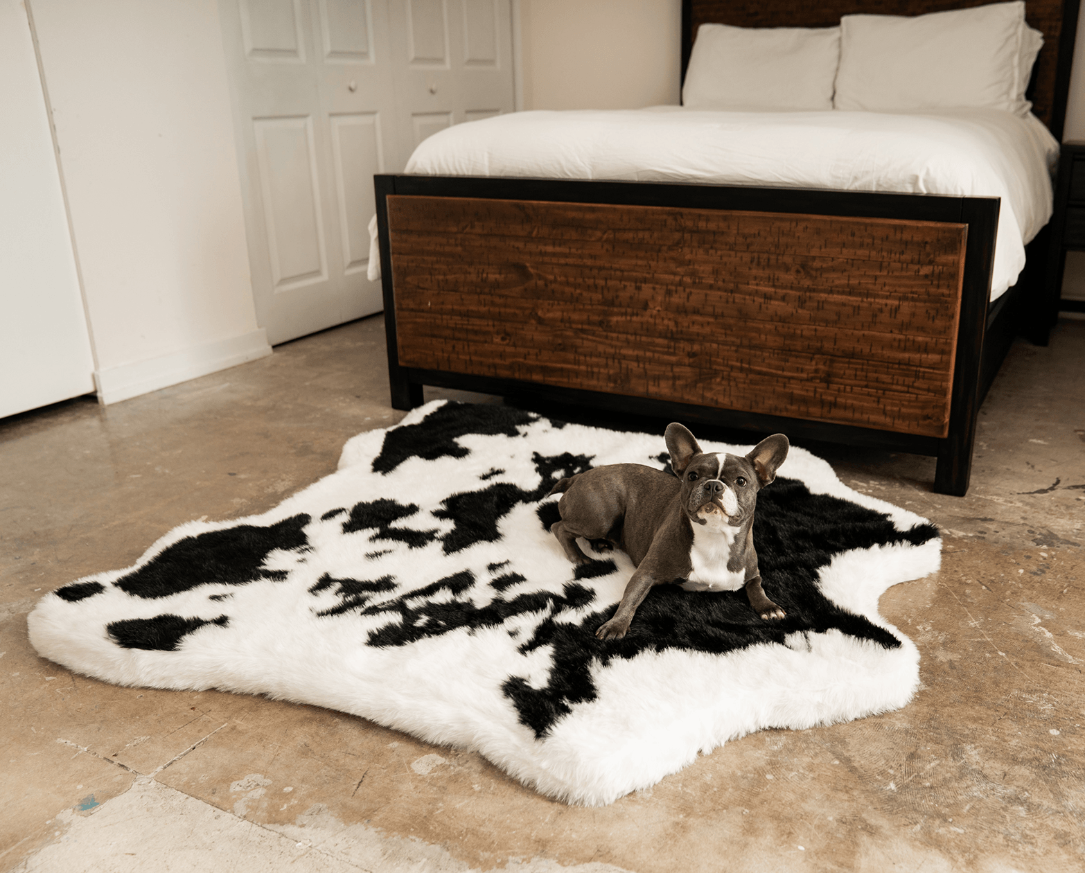 PupRugAnimal Print Memory Foam Dog Bed - Black Faux Cowhide