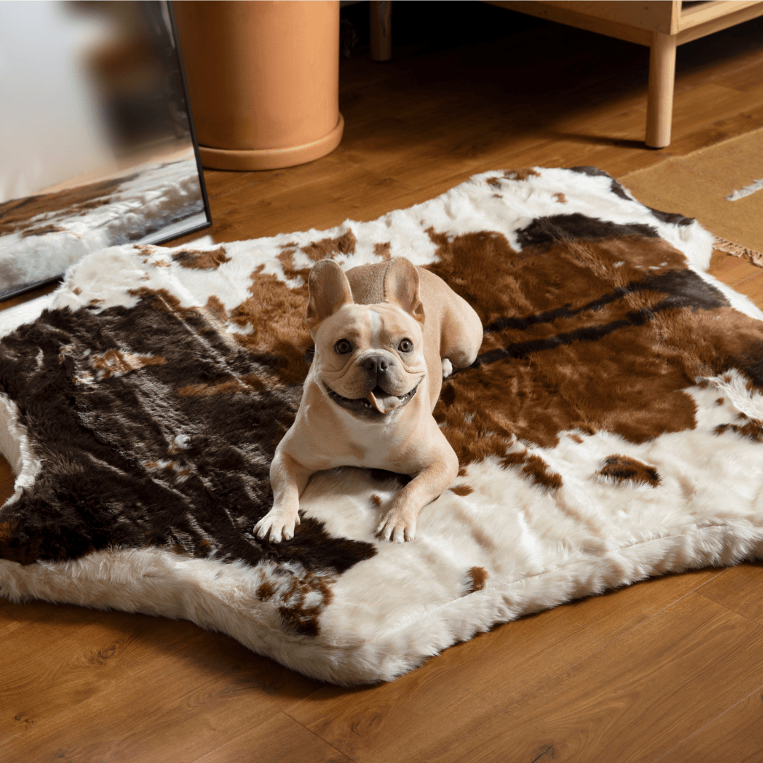 PupRug Animal Print Memory Foam Dog Bed - Brown Faux Cowhide