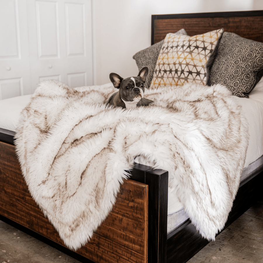 PupProtectorWaterproof Throw Blanket - White with Brown Accents