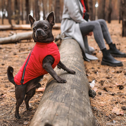 Sustainable Eco-Friendly Dog Jacket / Vest - Made in Ukraine