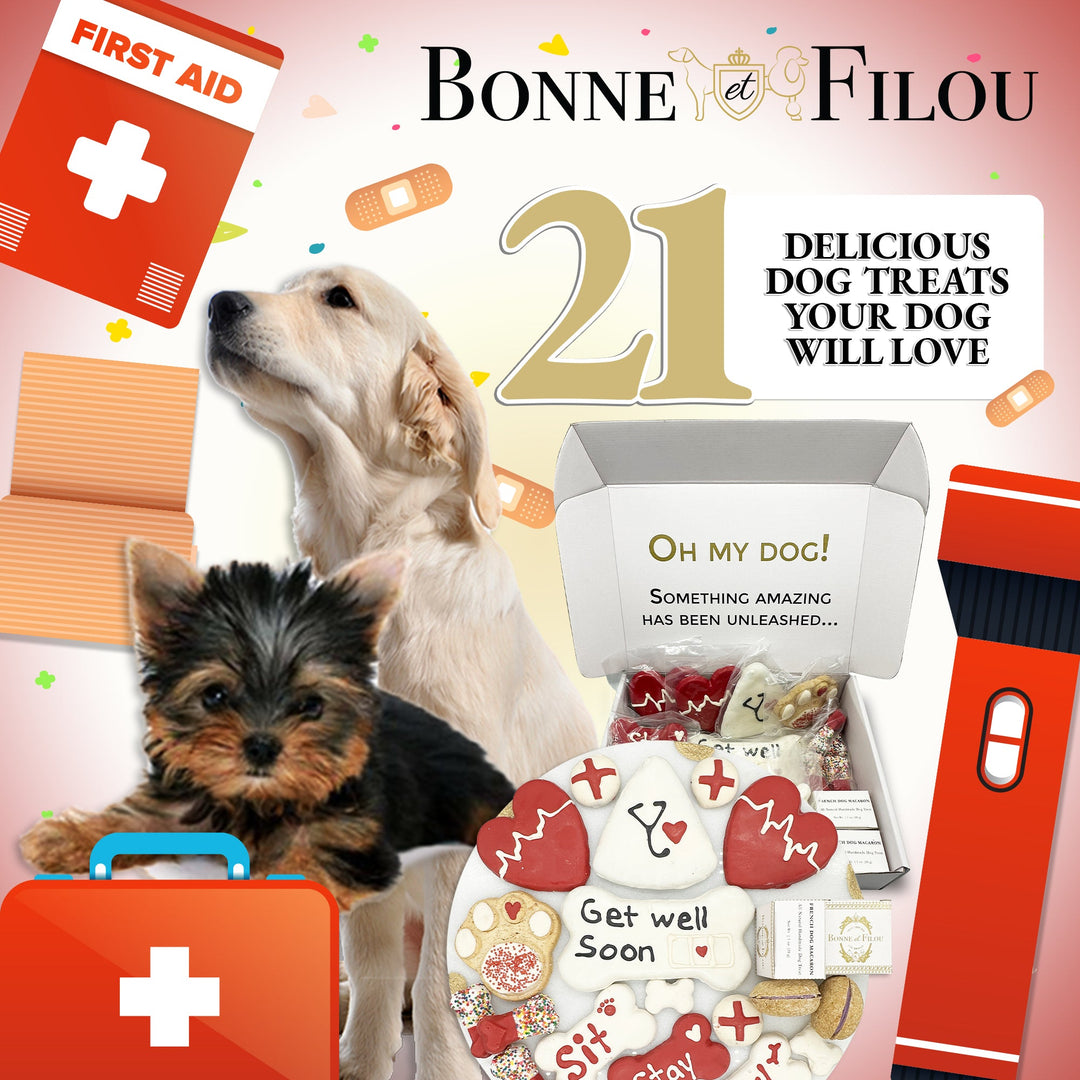 Get Well Soon Themed Dog Treats Gift Box