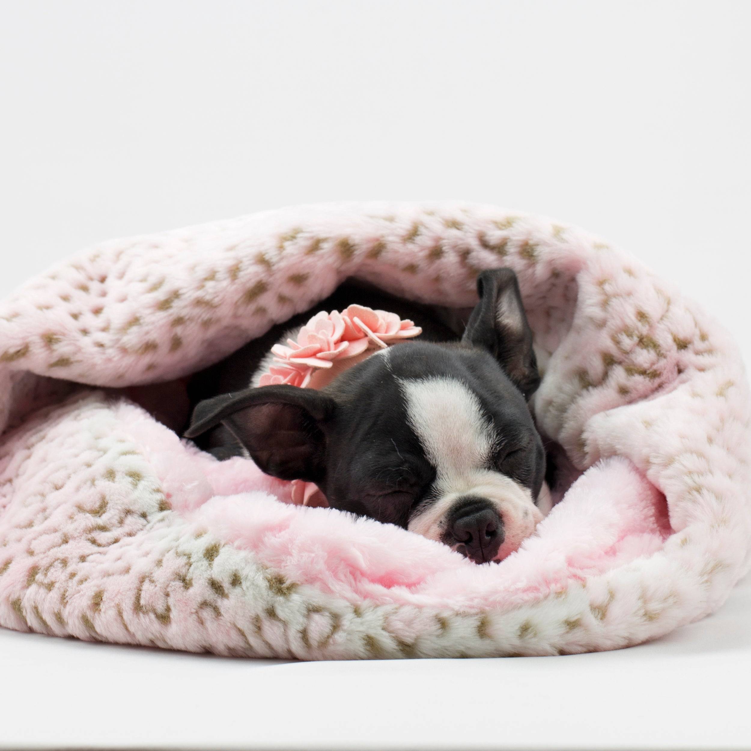 Pink Lynx with Puppy Pink Shag Cuddle Cup