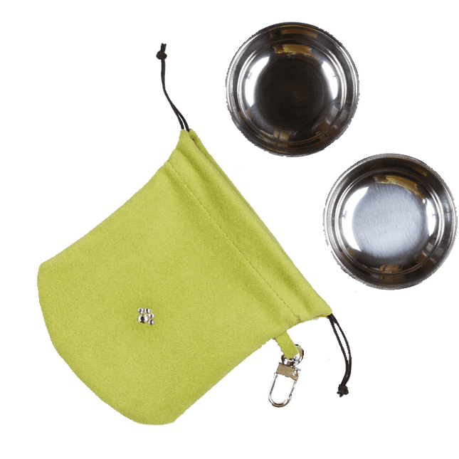 Lime Travel Pouch