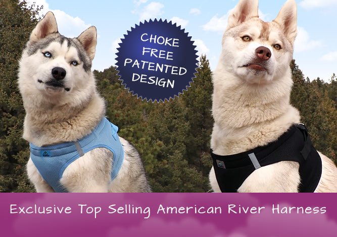 American River Ultra Choke Free Soft Mesh Dog Harness™