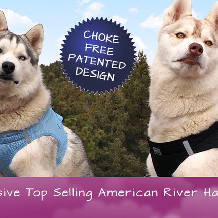 American River Ultra Choke Free Soft Mesh Dog Harness-Paisley Purple