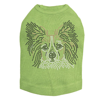 Papillon - Dog Tank