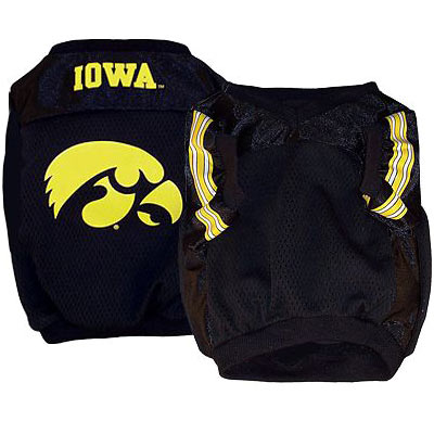 Iowa Hawkeyes Official Replica Dog Jersey