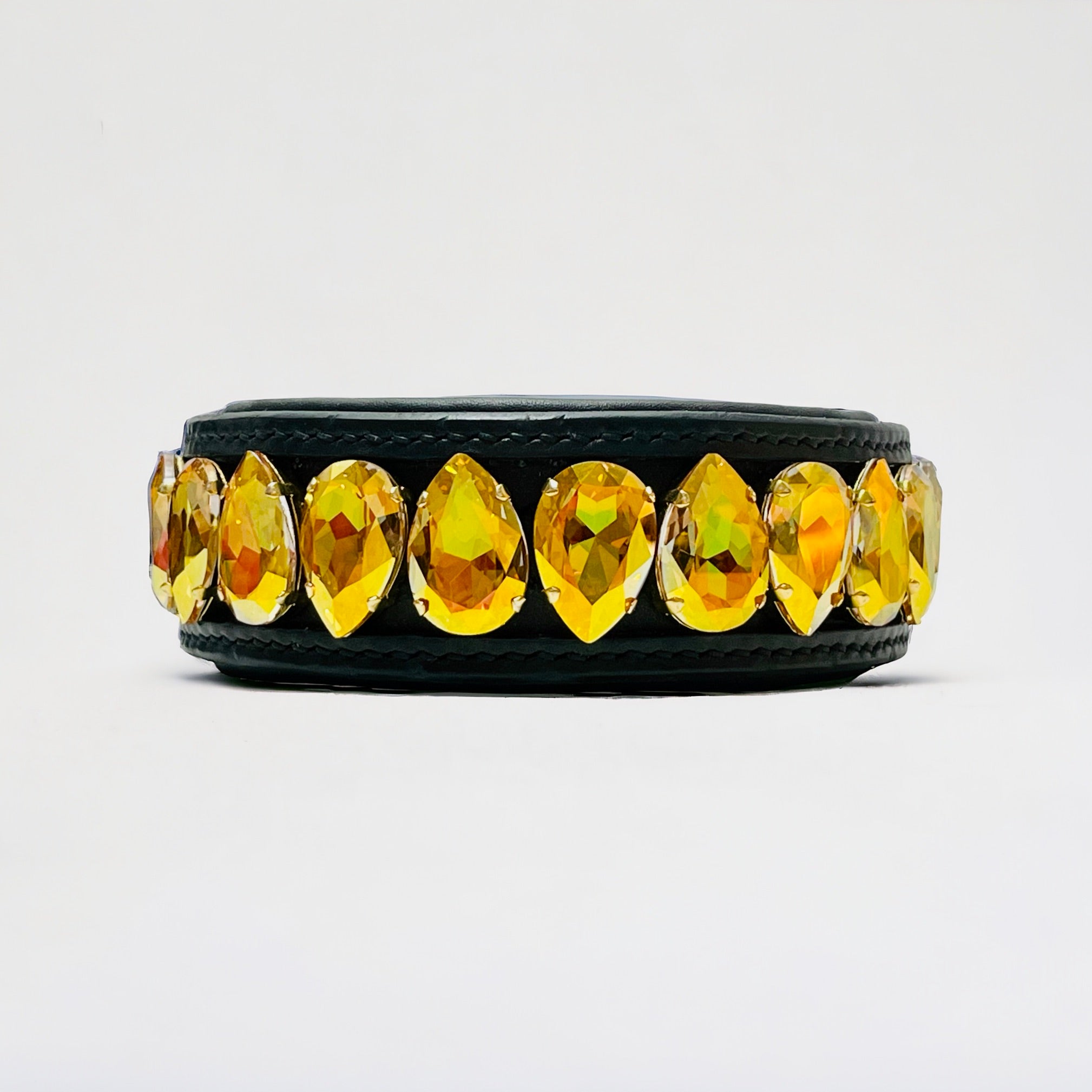 Liz Big Dog Collar Metallic Sunshine Over 19.5