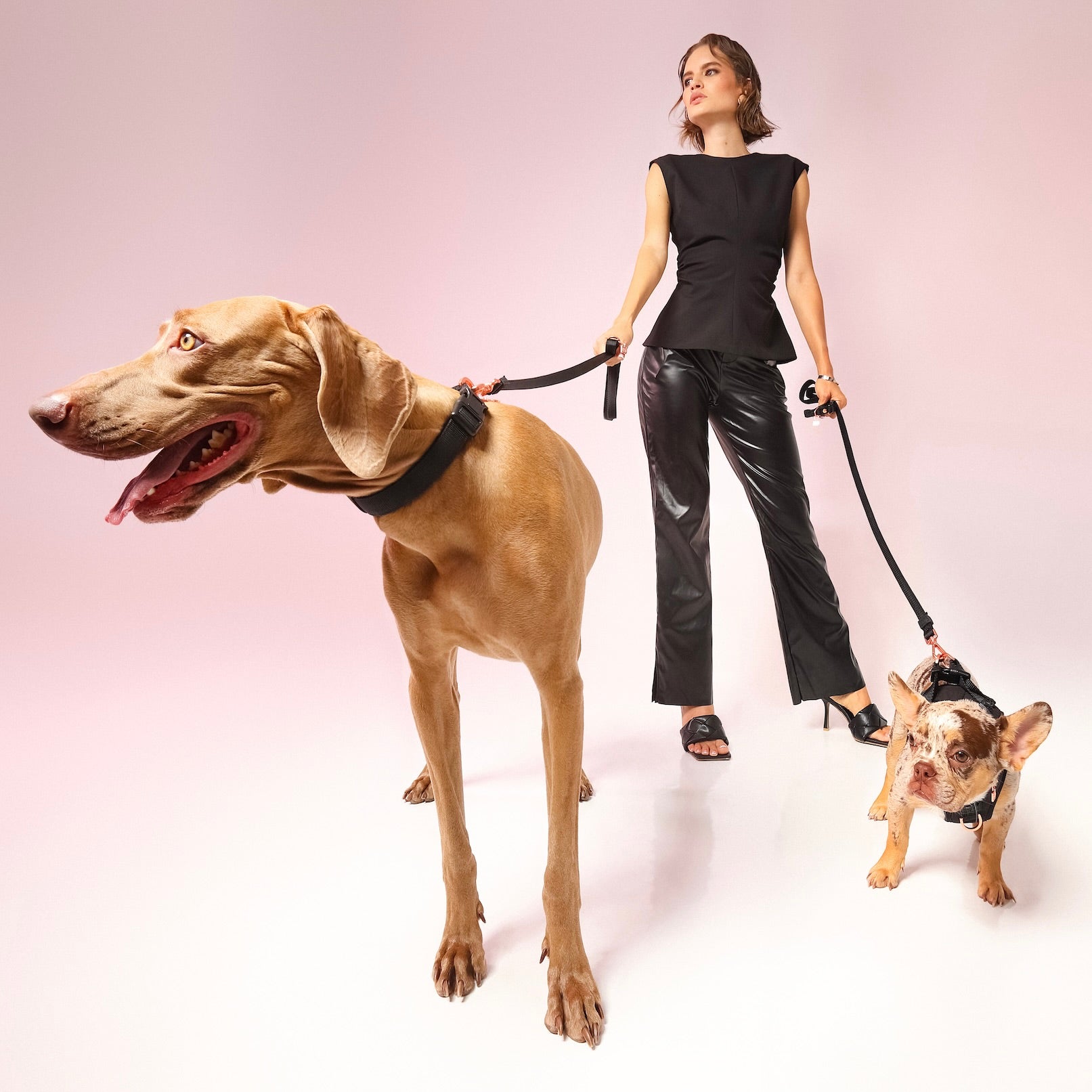 Hands-free Adjustable Dog Leash - Black