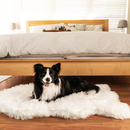 PupRug by Paw.com™ Faux Fur Orthopedic Dog Bed - Curve Polar White