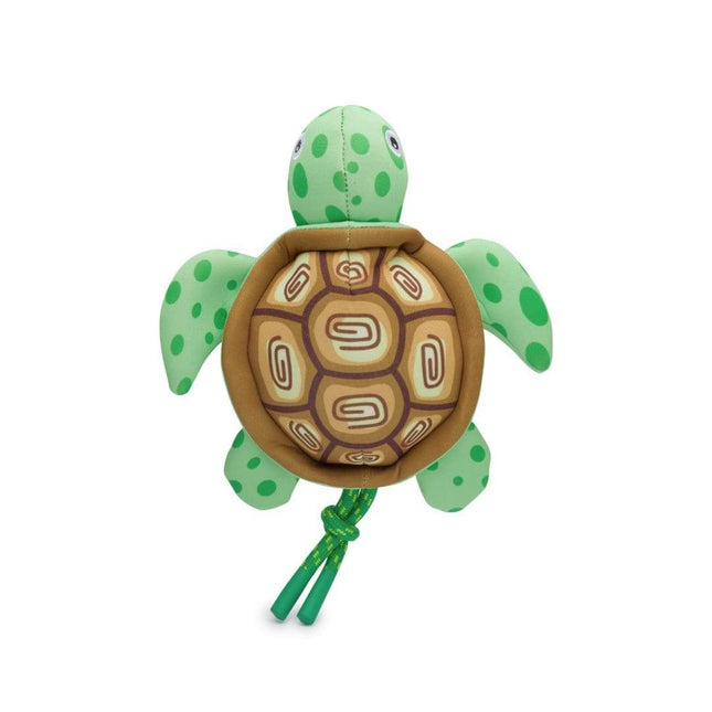 Floatie Turtle