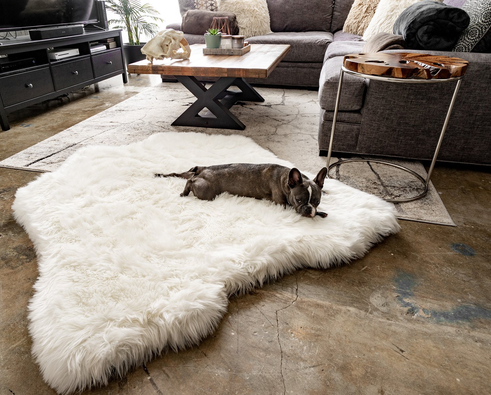 PupRug Animal Print Memory Foam Dog Bed - Polar Bear Faux Hide