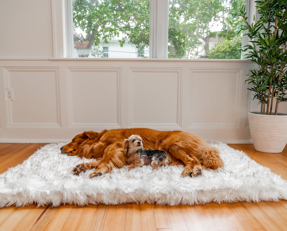 PupRug™ Faux Fur Orthopedic Dog Bed - Rectangle White with Brown Accents Paw.com