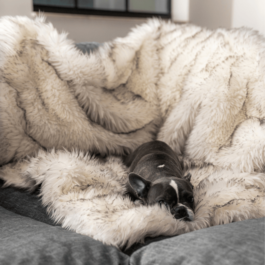 PupProtector™ Waterproof Throw Blanket - White with Brown Accents