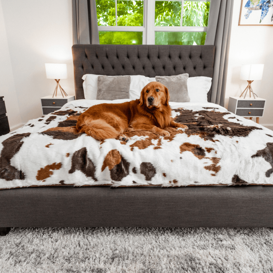 PupProtector Waterproof Throw Blanket - Brown Faux Cowhide Large (80