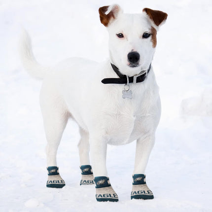 Philadelphia Eagles Pet Socks