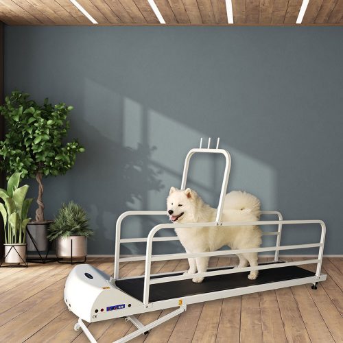 Petrun Large Breed Treadmill