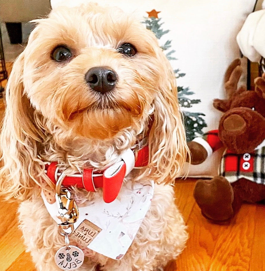 BOW TIE - MELTING HEARTS