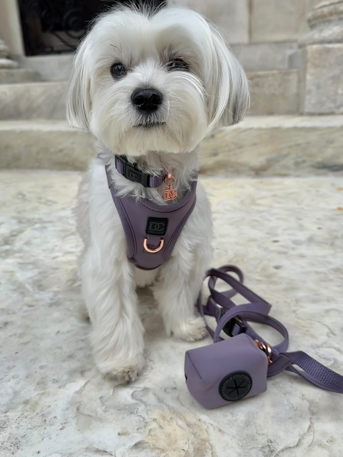 Luxe No Pull Step-In Dog Harness - Purple