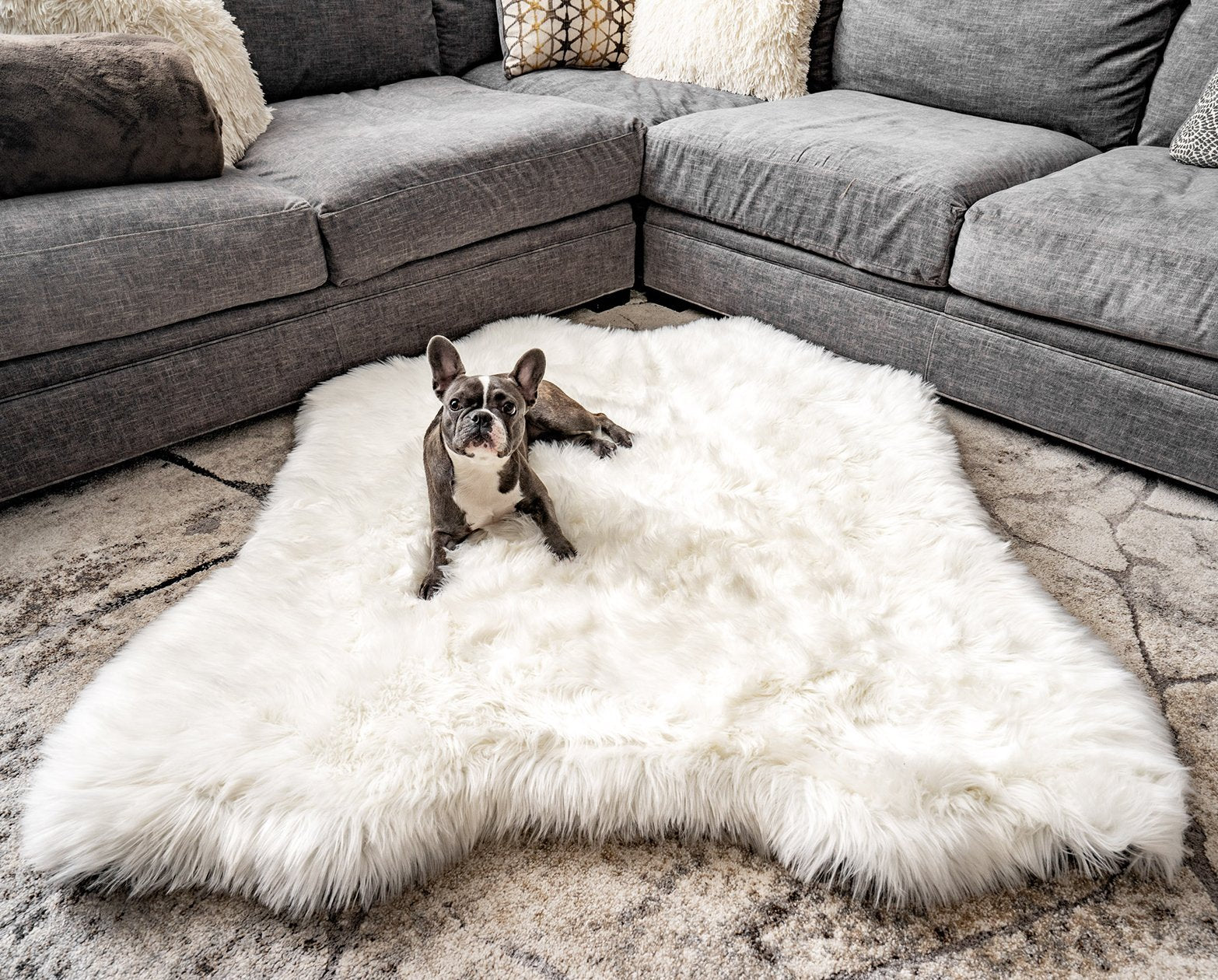 PupRug Animal Print Memory Foam Dog Bed - Polar Bear Faux Hide Original (55