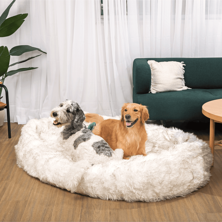 PupCloud™ Human-Size Faux Fur Memory Foam Dog Bed - White with Brown Accents