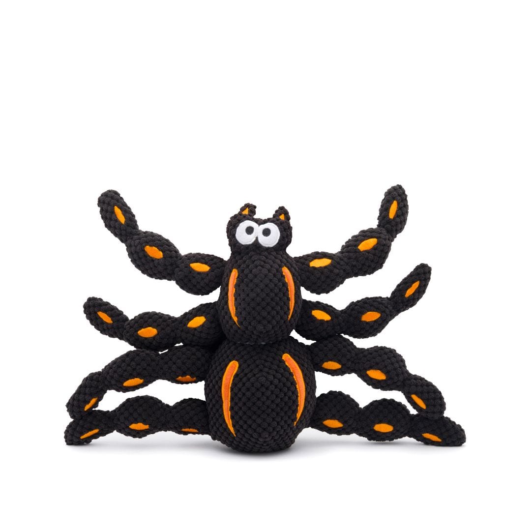 Floppy Spider