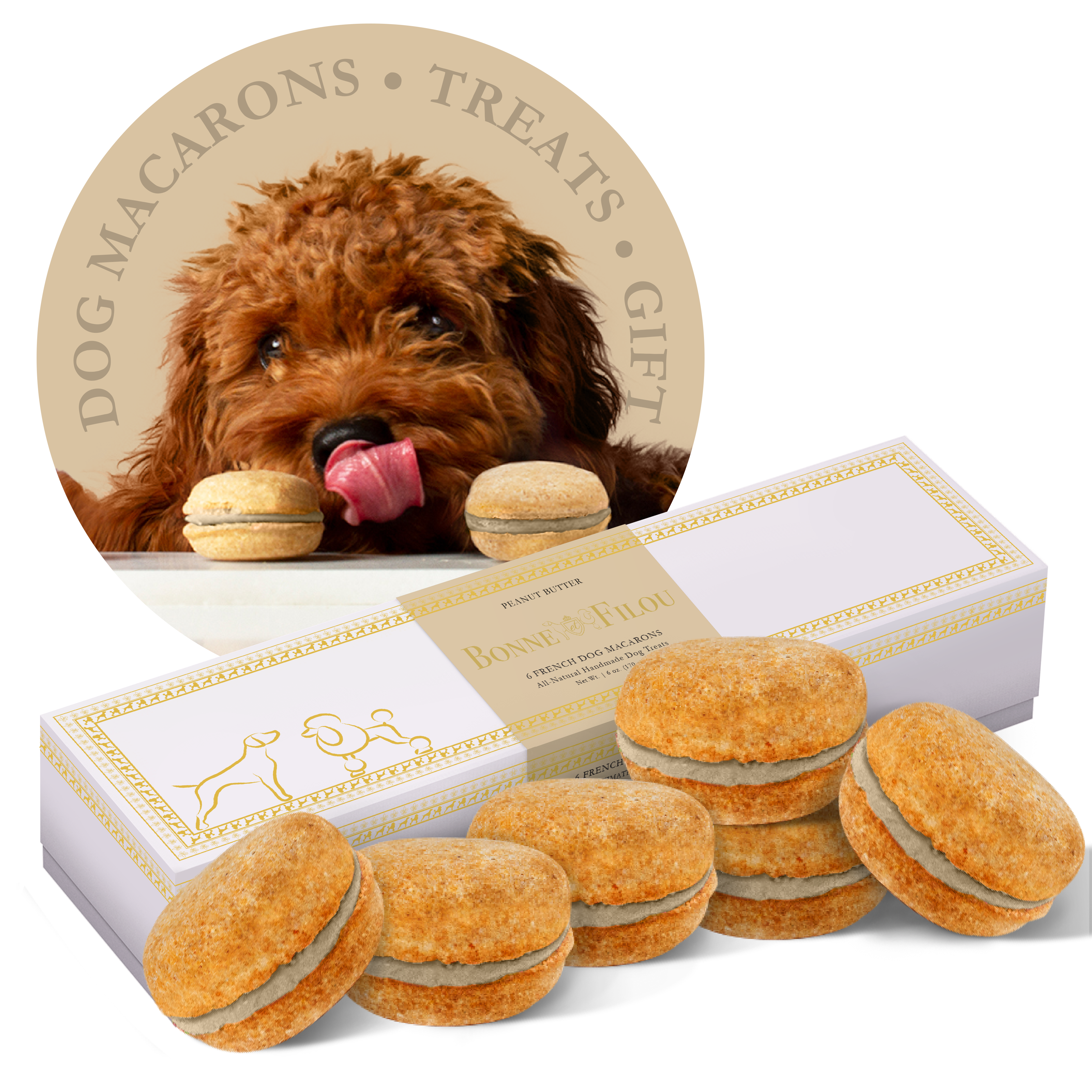 Dog Macarons (Box of 6) Peanut Butter