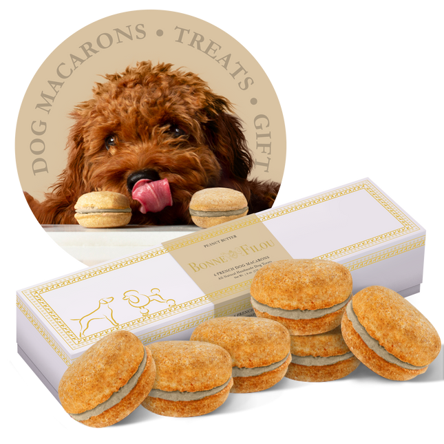 Dog Macarons (Box of 6)