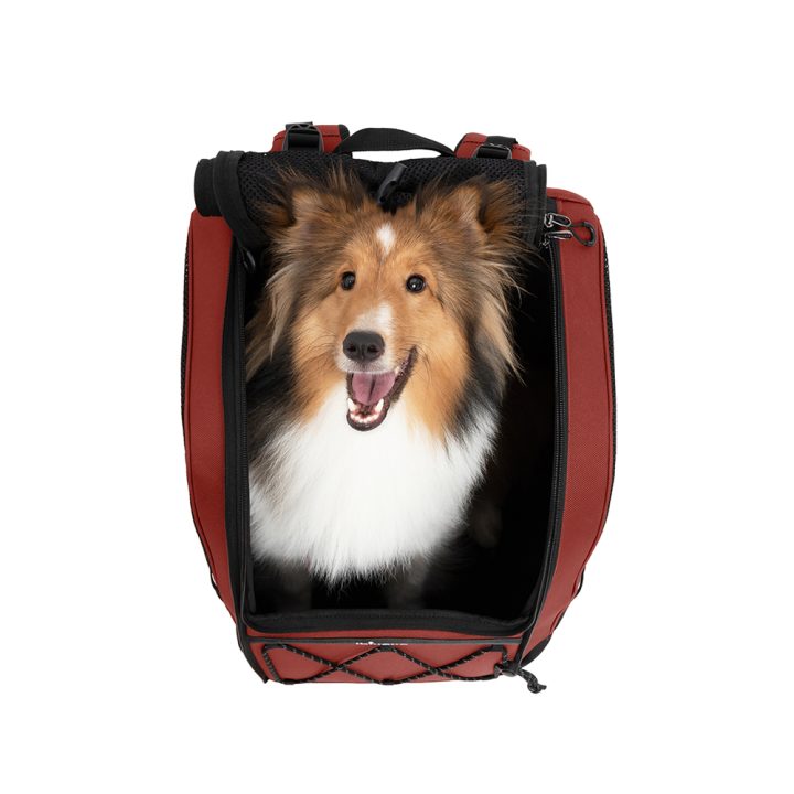 Champion Large Dog Carrier Backpack with Window
