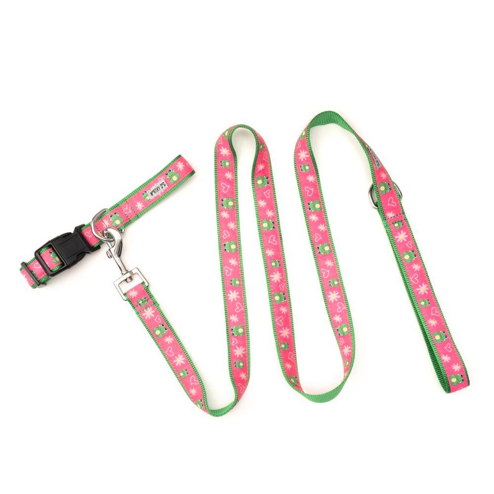 Ribbit Collar & Lead Collection