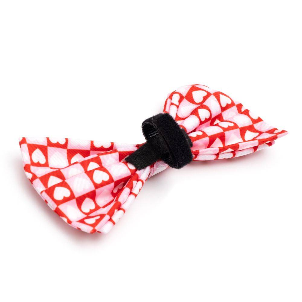 Colorblock Hearts Bow Tie