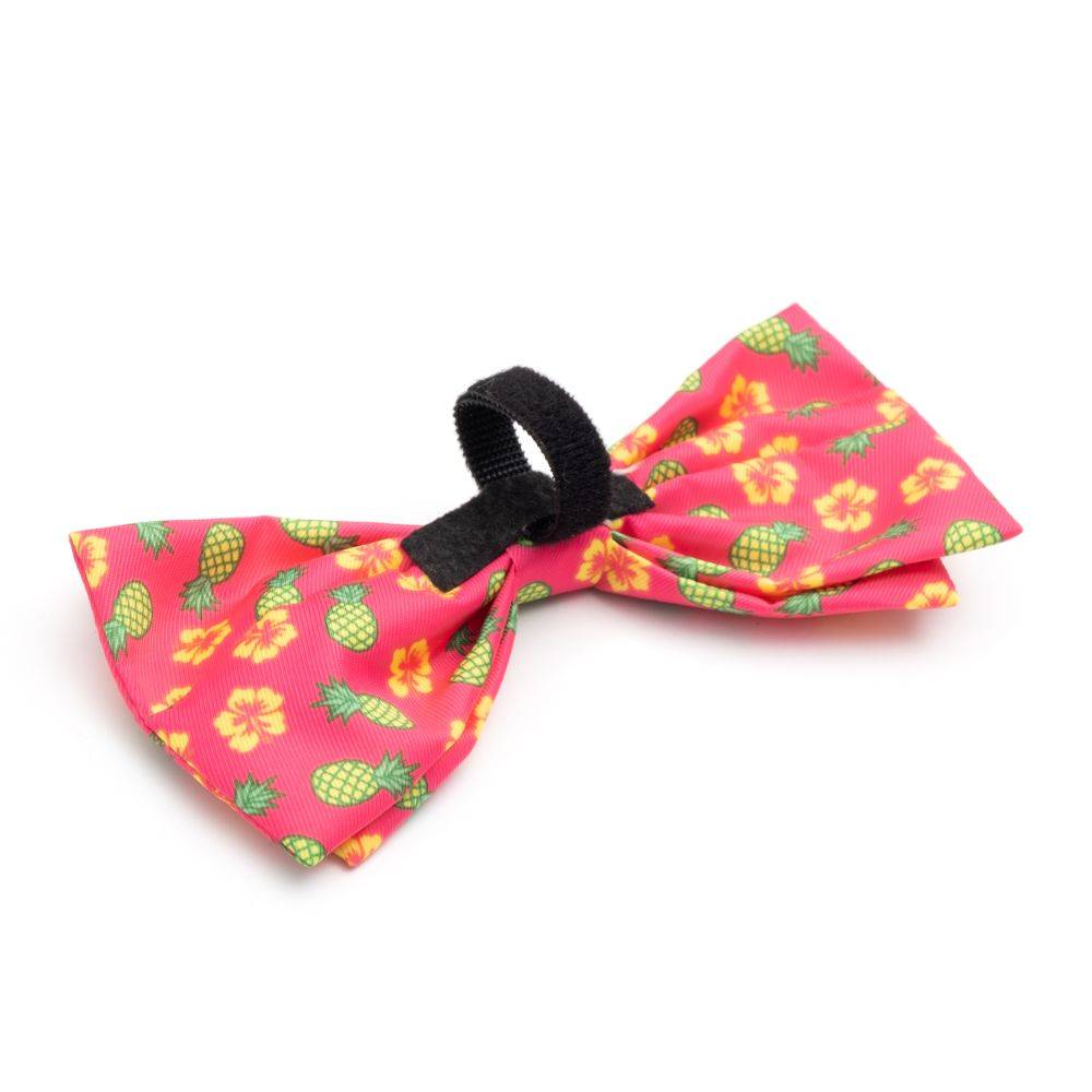 Pineapples Bow Tie