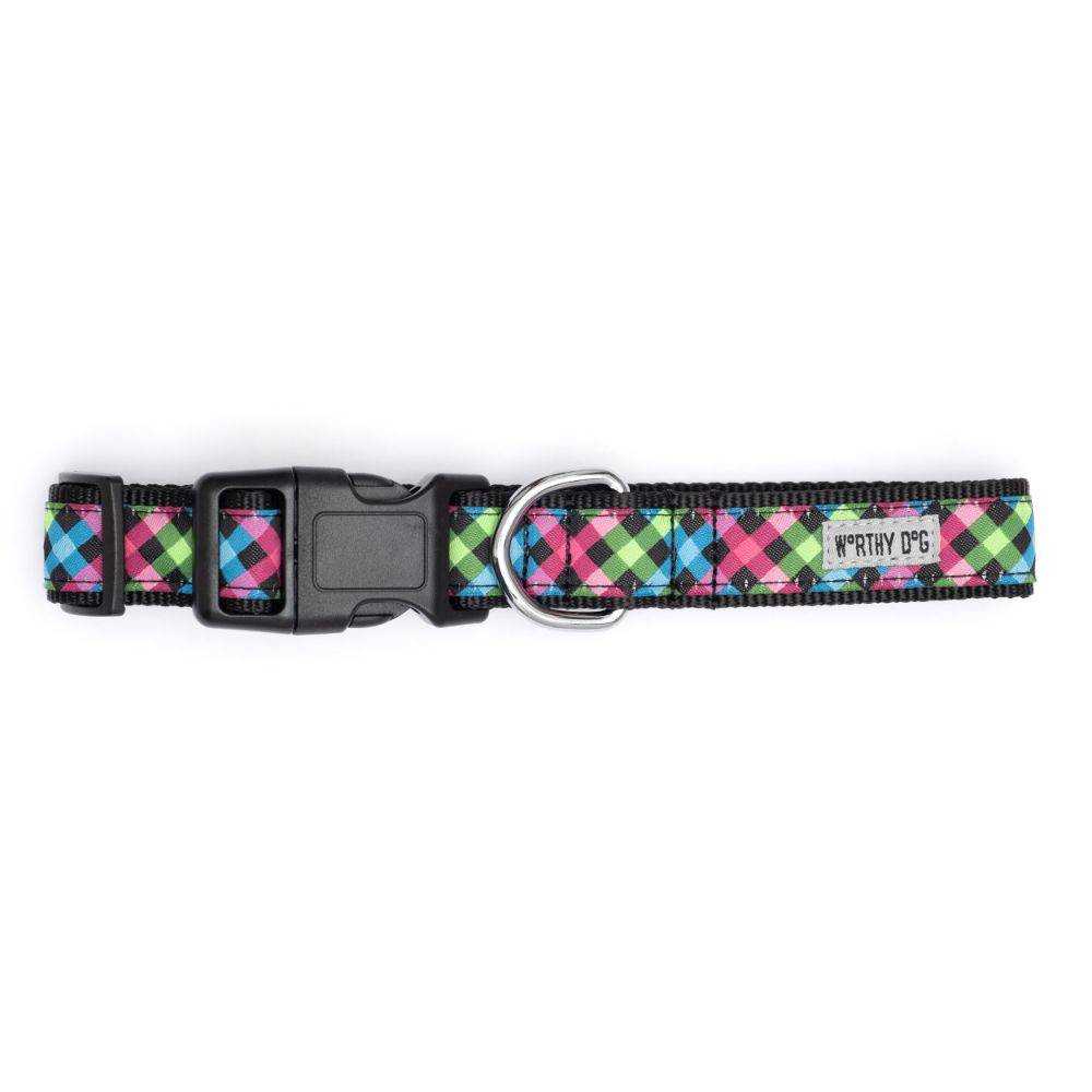 Carnival Check Collar & Lead Collection