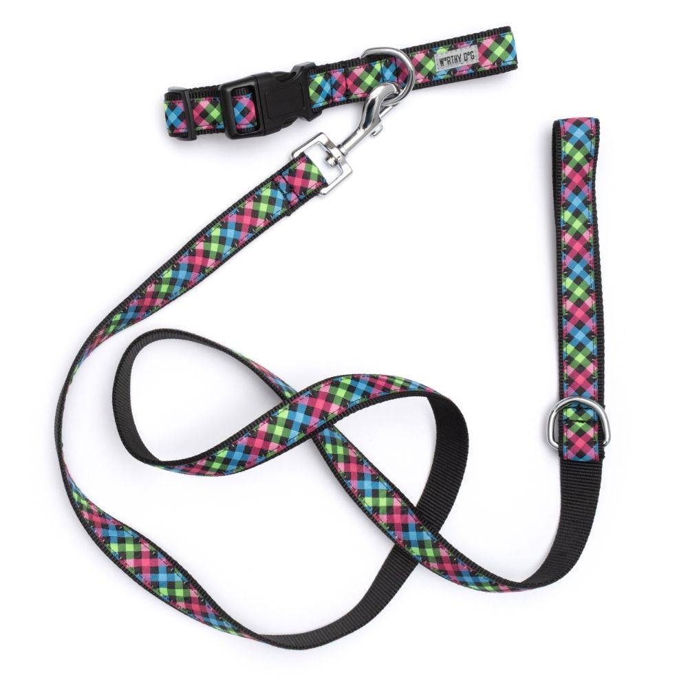 Carnival Check Collar & Lead Collection