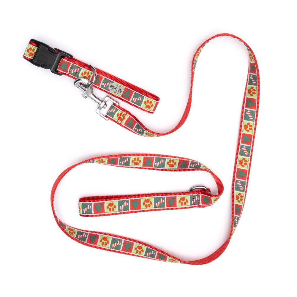 Good Tidings Collar & Lead Collection