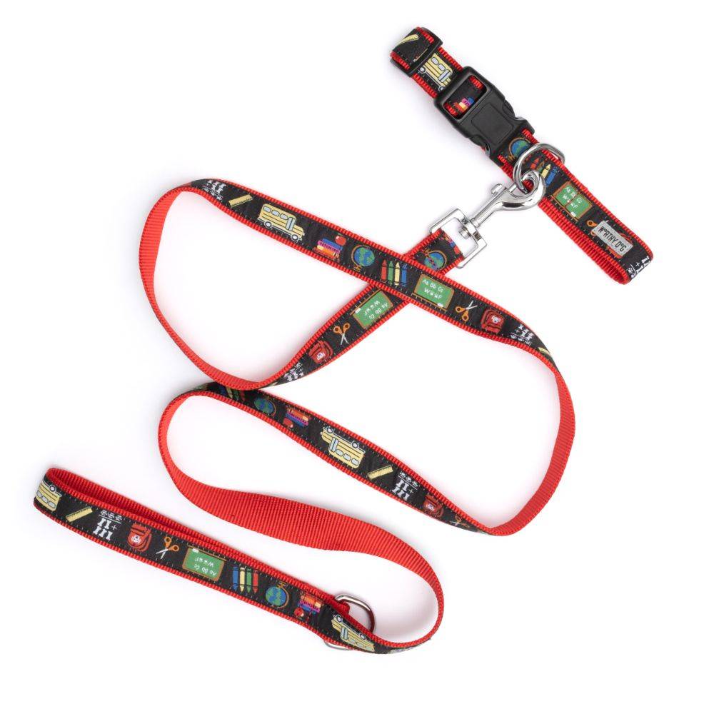 K9 College Collar & Lead Collection