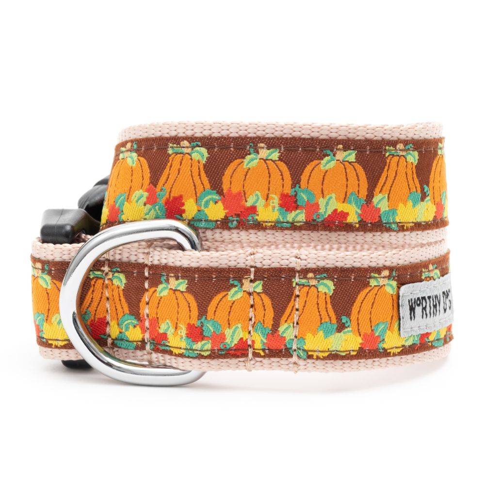 Pumpkin Patch Collar & Lead Collection Default Title