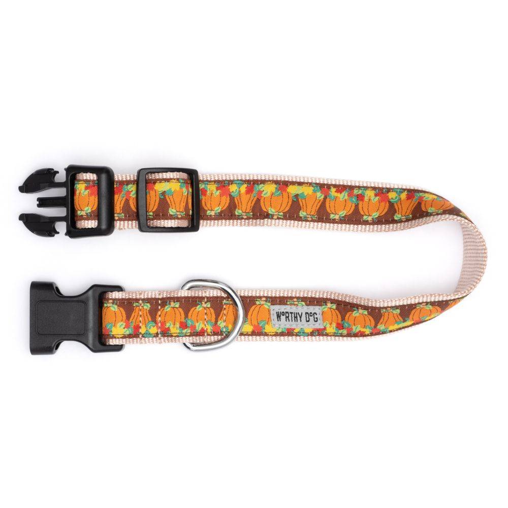 Pumpkin Patch Collar & Lead Collection